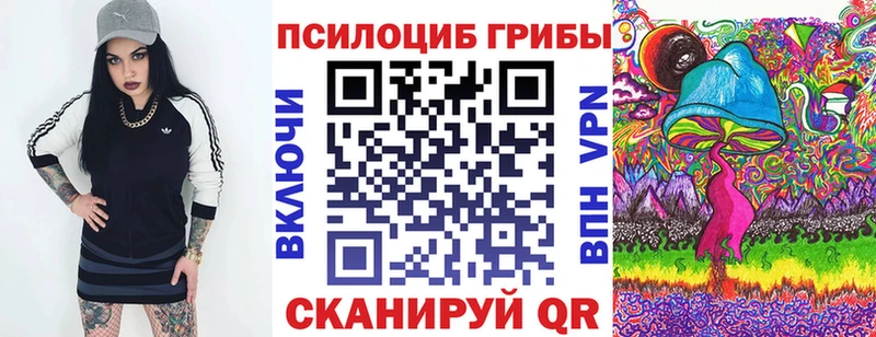 Псилоцибиновые грибы мицелий  Долгопрудный 